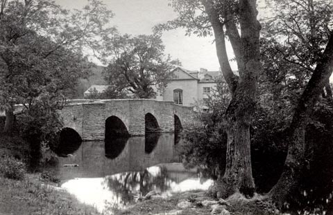 image, button to large image