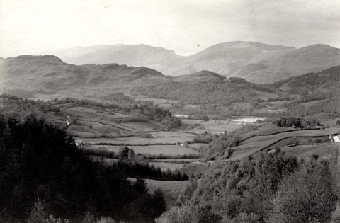 image, button to large image