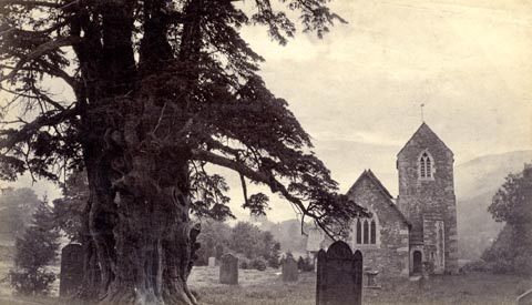 image, button to large image