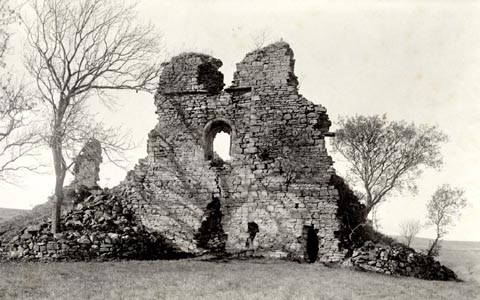 image, button to large image