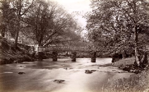 image, button to large image