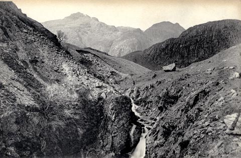 image, button to large image