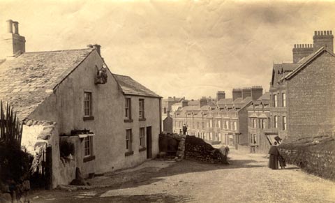 image, button to large image