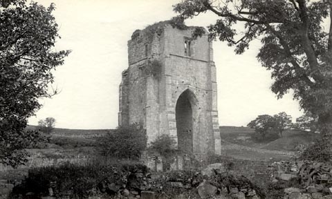 image, button to large image