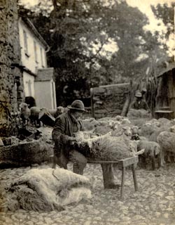 image, button to large image