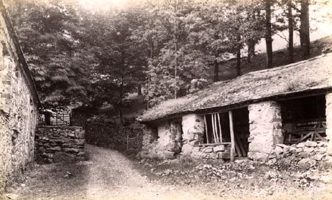 image, button to large image