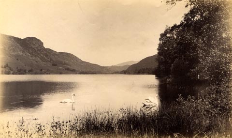 image, button to large image