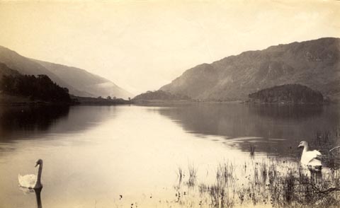 image, button to large image