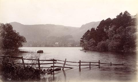 image, button to large image