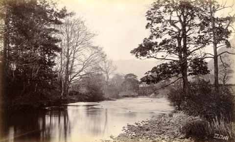 image, button to large image