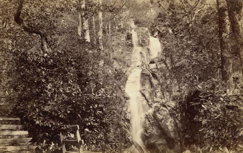 image, button to large image