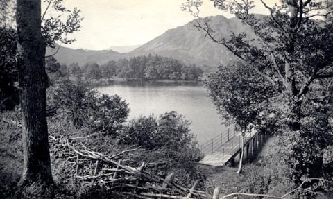 image, button to large image