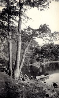 image, button to large image