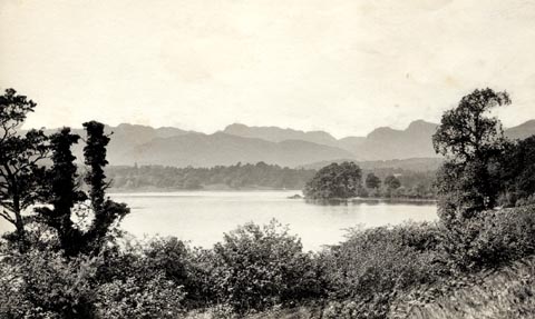 image, button to large image