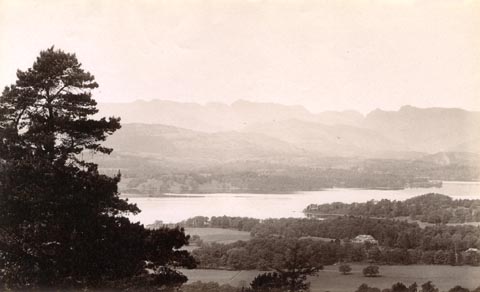 image, button to large image