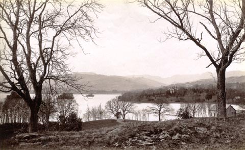 image, button to large image