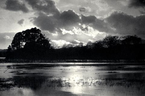 image, button to large image