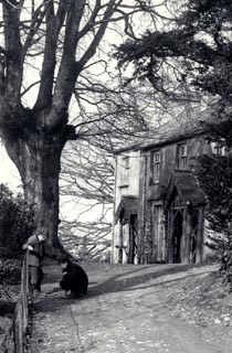 image, button to large image