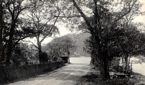 image, button to large image