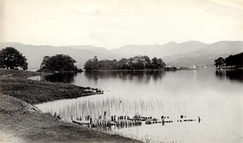 image, button to large image