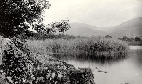 image, button to large image