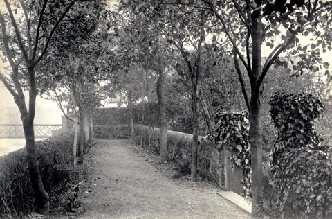 image, button to large image