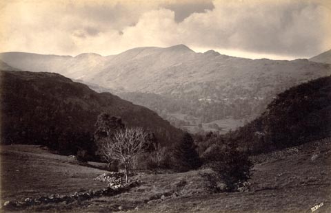 image, button to large image