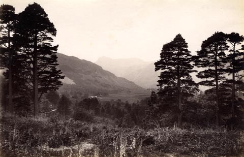 image, button to large image