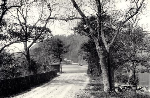 image, button to large image