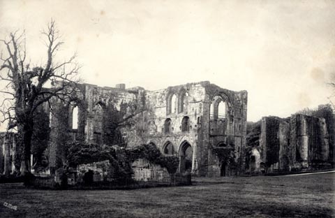 image, button to large image