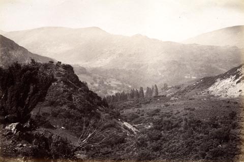 image, button to large image