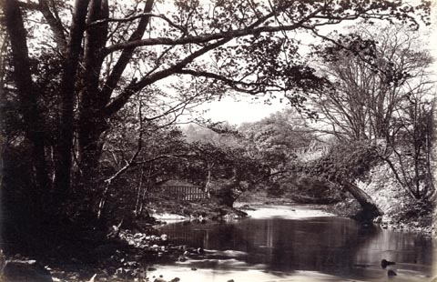 image, button to large image