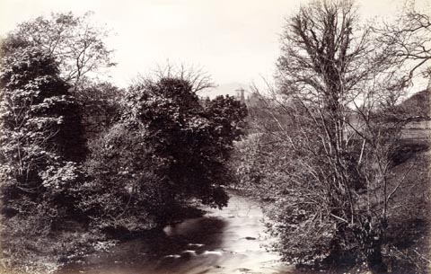 image, button to large image