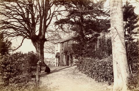 image, button to large image