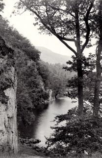 image, button to large image