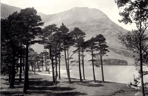 image, button to large image