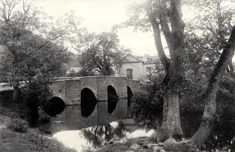 image, button to large image