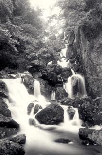 image, button to large image