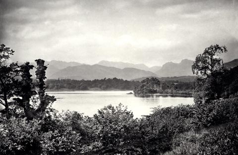 image, button to large image