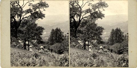 image, button to large image