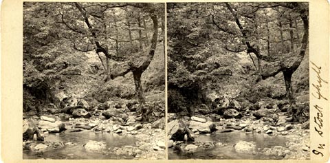 image, button to large image