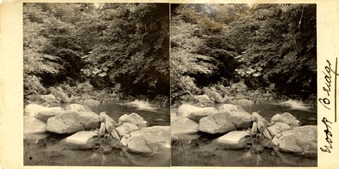 image, button to large image