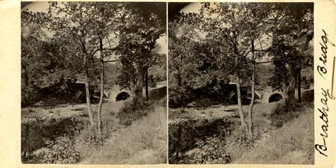 image, button to large image