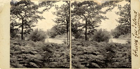 image, button to large image