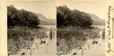 image, button to large image