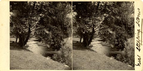 image, button to large image