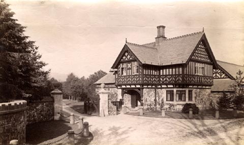 image, button to large image