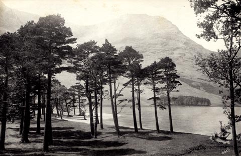 image, button to large image