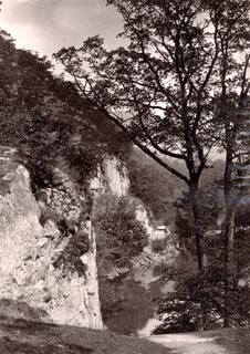 image, button to large image