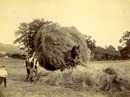 image, button to large image